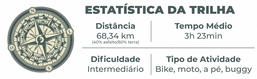 estatistica 31 31