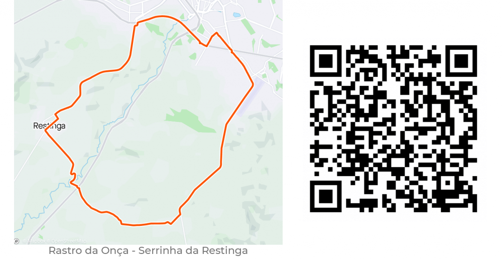 Rastro da Onca Serrinha da Restinga
