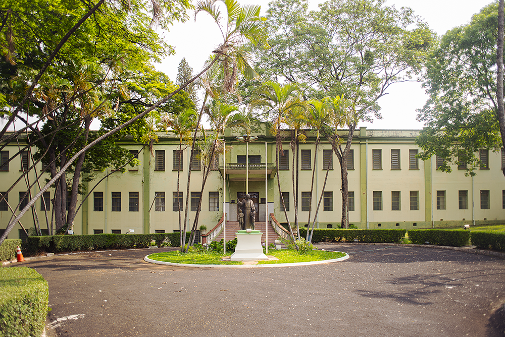 colegio Champa original