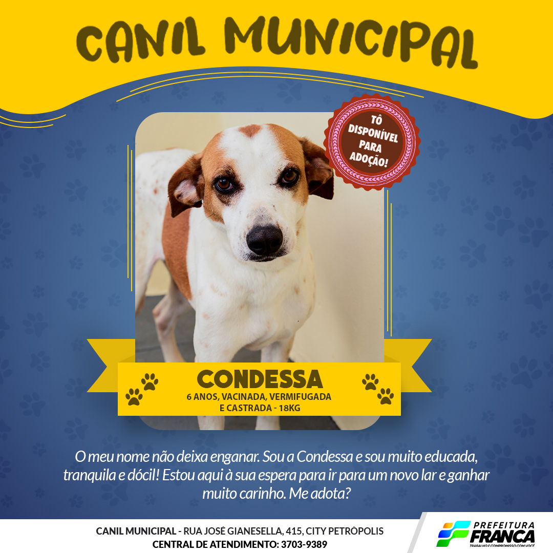 Condessa original