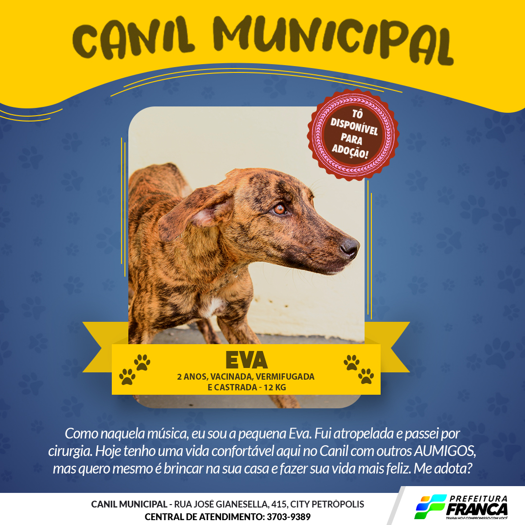 Eva original