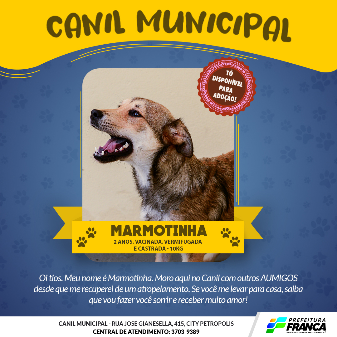 Condessa original