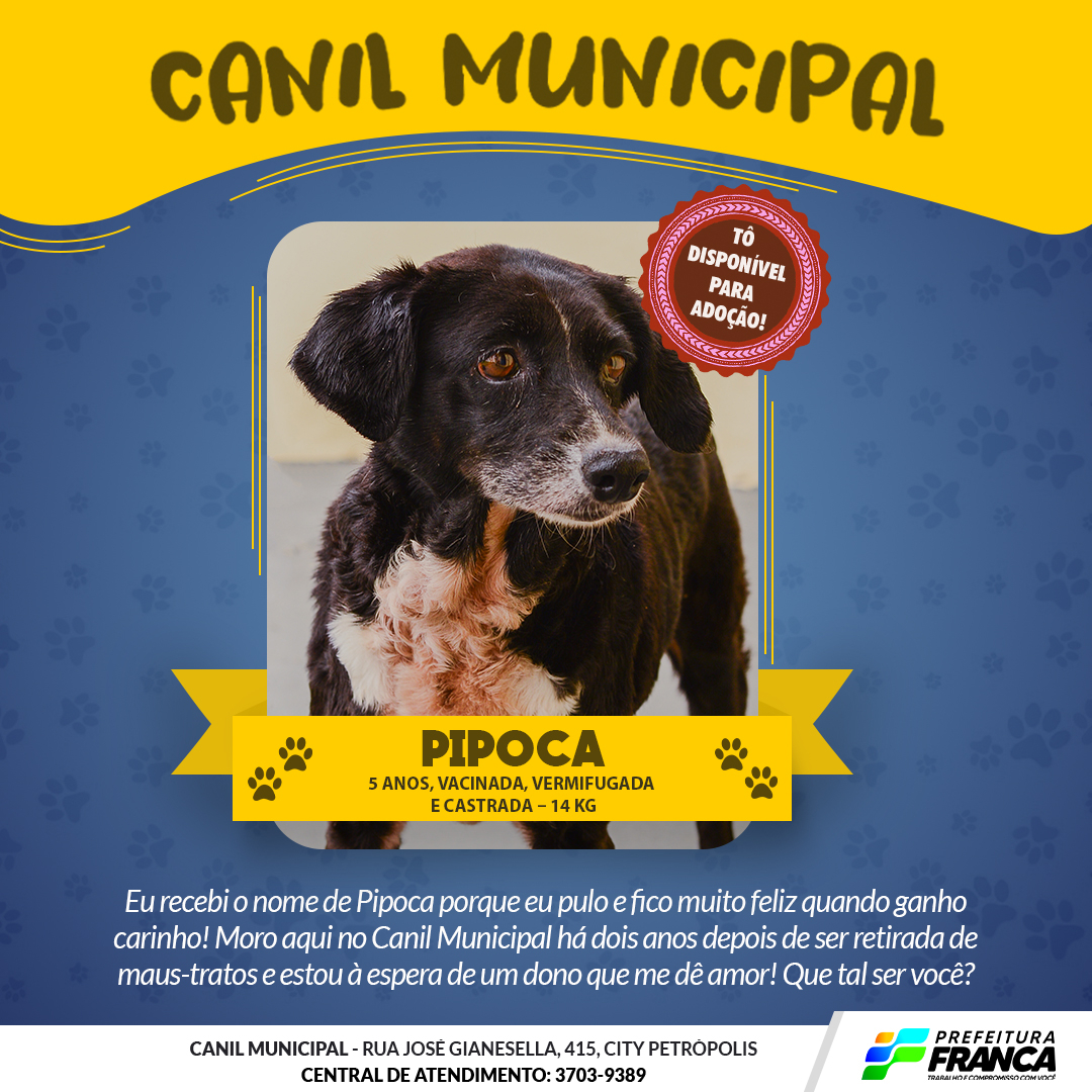 Condessa original