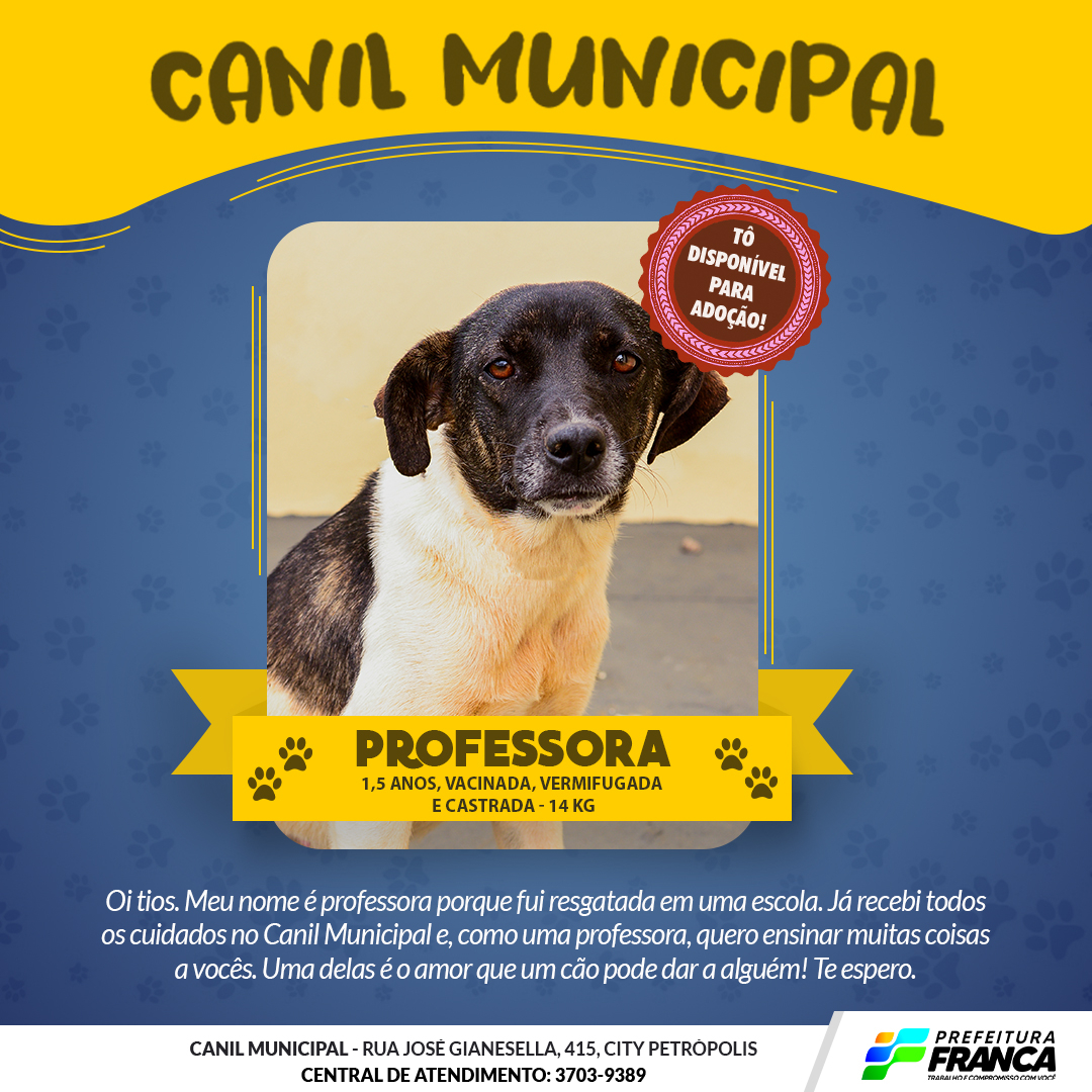 Condessa original