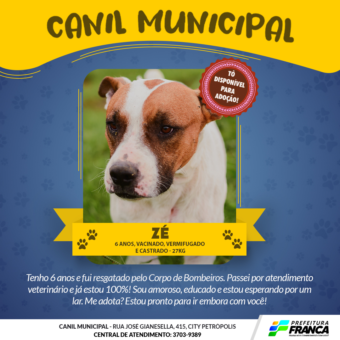 Condessa original