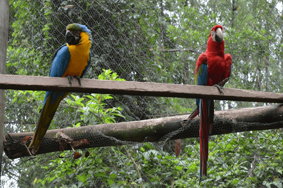 imagem_2023-09-13_140909570.png
