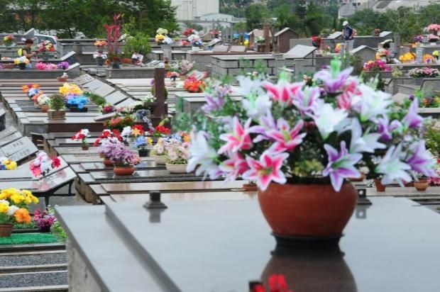 flores