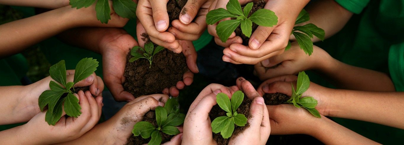 educacao ambiental ilustrativa Medium