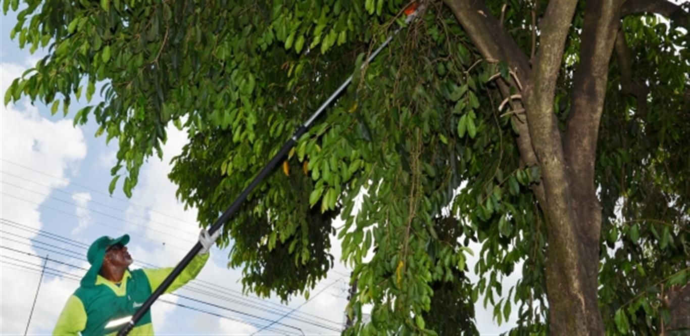 poda Medium
